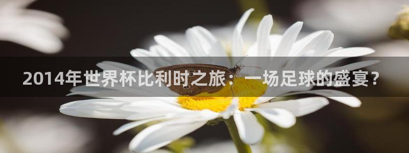世界杯2026赛程时间表格:2014年世界杯比利时之旅:一场足球的盛宴?