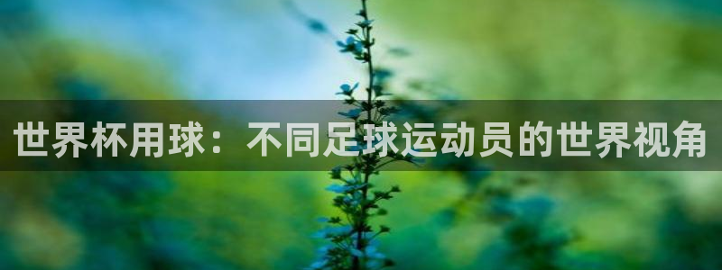 世界杯足球赛:世界杯用球:不同足球运动员的世界视角