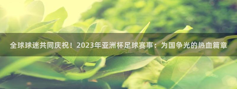 世界杯直播在线观看入口:全球球迷共同庆祝!2023年亚洲杯足球赛事:为国争光的热血篇章