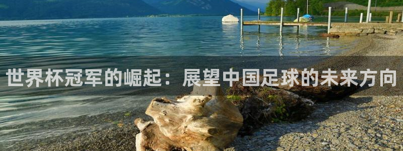 2026年世界杯对阵图:世界杯冠军的崛起:展望中国足球的未来方向