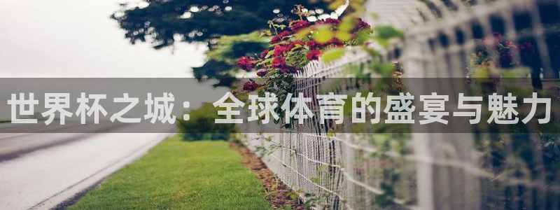 联赛杯直播:世界杯之城:全球体育的盛宴与魅力