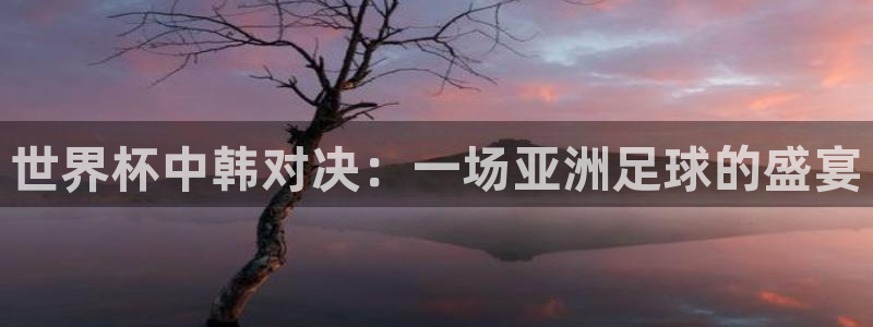 世界杯直播时间:世界杯中韩对决:一场亚洲足球的盛宴