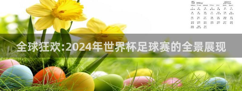 亚洲杯足球:全球狂欢:2024年世界杯足球赛的全景展现